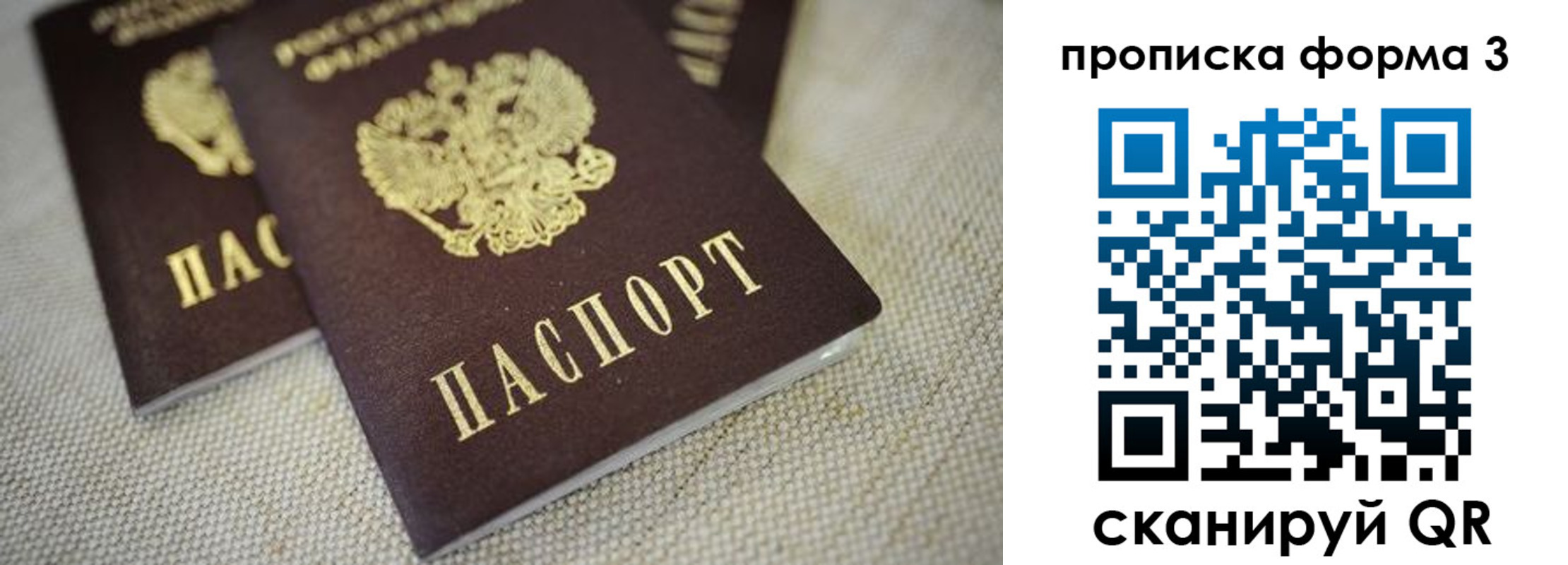 прописка поиск в Мариинском Посаде